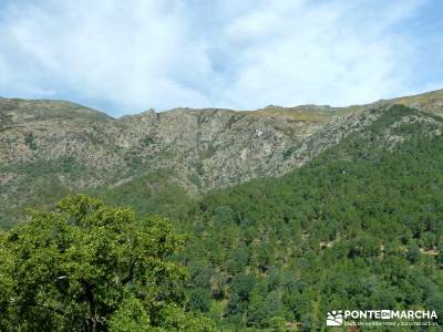 Pinares de la Angostura en Piedralaves;rutas en la pedriza la horizontal